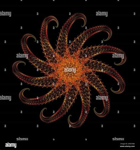 Starfish Fractal Hi Res Stock Photography And Images Alamy