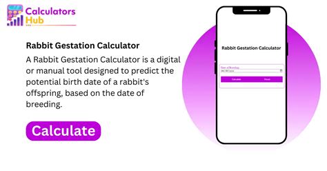 Rabbit Gestation Calculator Online