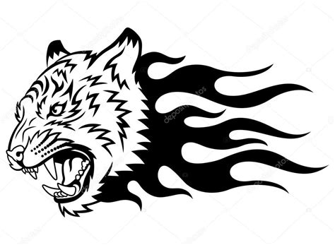 Tiger on fire — Stock Vector © komissar008 #35562807