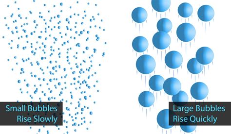 bubble size matters sacramento koi