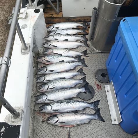 Salmon Fishing | High Life Charter