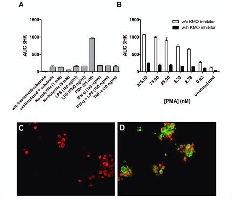 Development Of A Cell Based Assay To Measure Kynurenine Monooxygenase