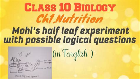 Nutrition Mohls Half Leaf Experiment Class 10 Biology Co2 Is