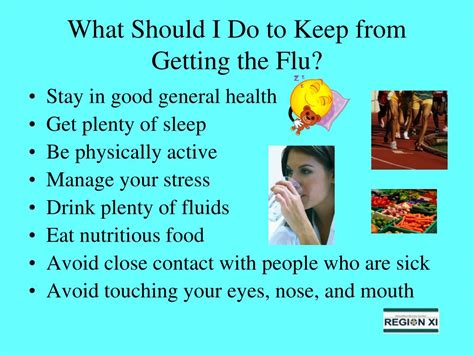 Ppt How To Combat Swine Flu Powerpoint Presentation Free Download