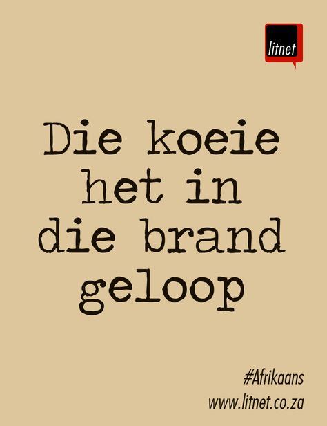 52 Afrikaanse Idiome Ideas Afrikaans Quotes Afrikaans Afrikaanse Quotes