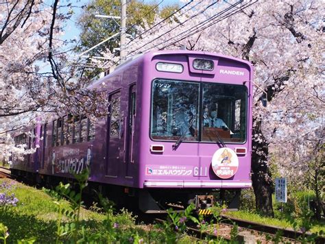 嵐電 桜のトンネル｜花見特集2025