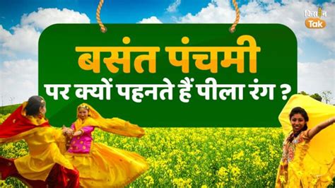 Basant Panchami 2023 बसंत पंचमी पर क्यों पहना जाता है पीला रंग यहां