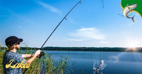 The 11 Best Fishing Lakes In Maine Captain Dixon