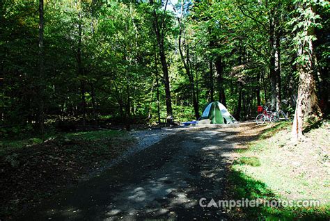 Elkmont - Campsite Photos, Campground Info & Reservations