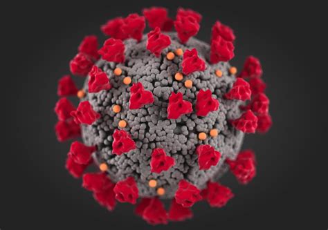 corona virus covid-19 3d model | CGTrader