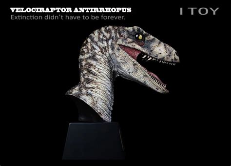 Velociraptor Antirrhopus Head Bust