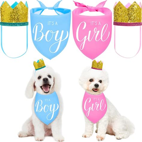 Leifide 2 Pieces Gender Reveal Baby Announcement Team Girl