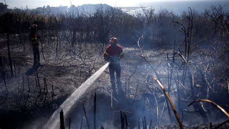 Portugal Waldbrand Bei Lissabon Mindestens 18 Verletzte DER SPIEGEL