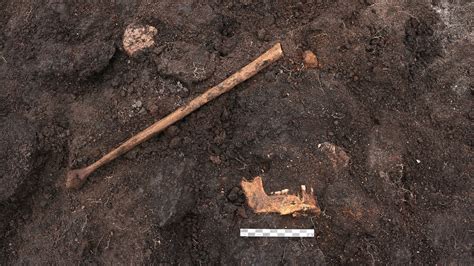 5,000-year-old 'bog body' found in Denmark may be a human sacrifice victim | Live Science