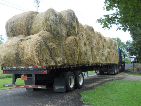 First Contact Logistics When It Comes To Moving Hay