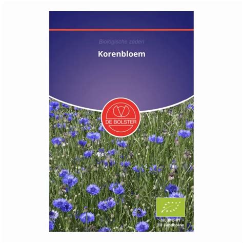 Korenbloem De Bolster Marvy Green