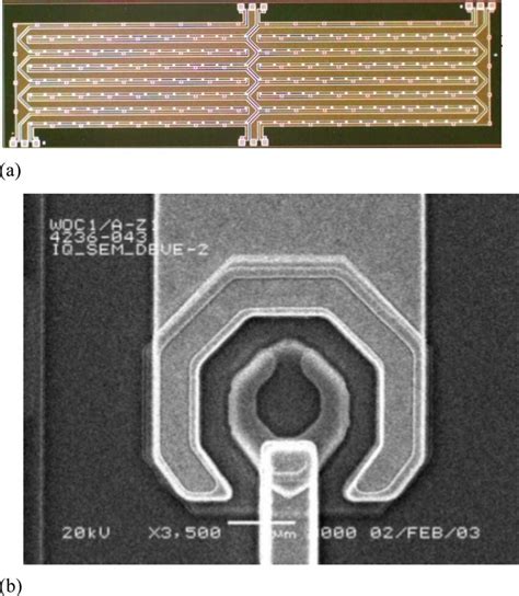 A 7 2 32 Array Of Photodetectors In A Traveling Wave Coherent Download Scientific Diagram