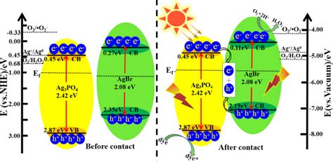 Schematic Illustrations For The Photo Induced Charge Separation Of The