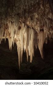 Big Room Carlsbad Caverns National Park Stock Photo 10410052 | Shutterstock