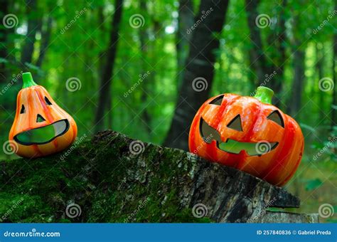 Halloween Decoration In The Forest Symbols Of Autumn Holiday Lamp