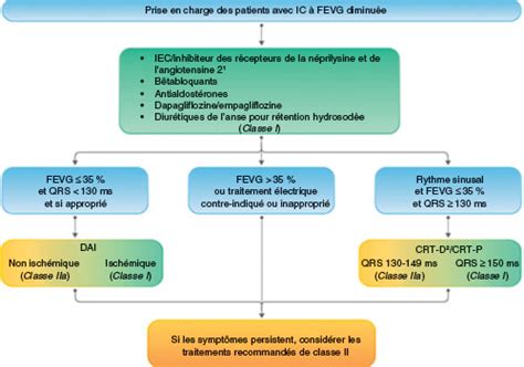 Chapitre Item Insuffisance Cardiaque De L Adulte Soci T