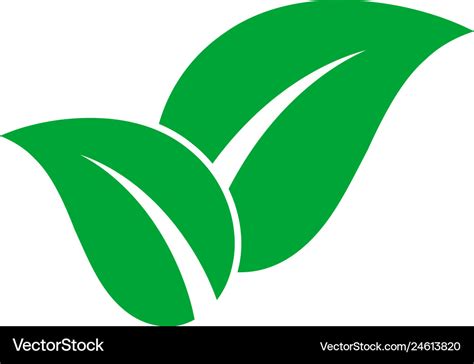 Green Leaves Icon Royalty Free Vector Image Vectorstock