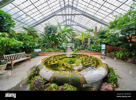 Tropical Greenhouse Oasis With Pond Matthaei Botanical Gardens Stock