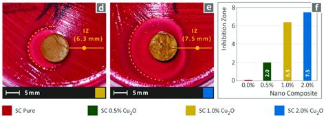 (a) typical E. Coli morphology, (b-e) Vertical captures after 24 h ...