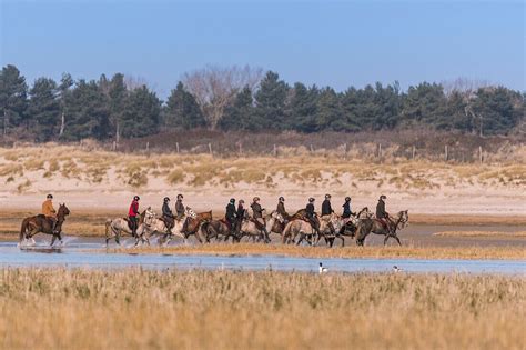 Frankreich Somme Baie De Bild Kaufen Lookphotos