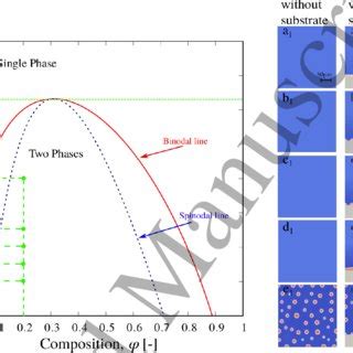 phase diagram   binary system considered   present work