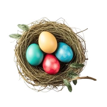 Happy Easter Day Eggs In Nest Top View Adorable Beautiful Beauty PNG