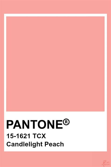 Pantone Candlelight Peach Pantone Color Palettes