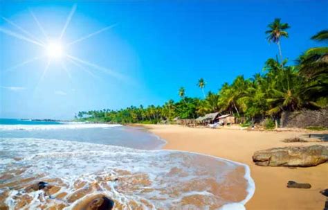 Book Fascinating 3 Nights 4 Days Sri Lanka Honeymoon Package