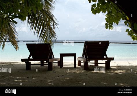 Tropical Island in the maldives Stock Photo - Alamy