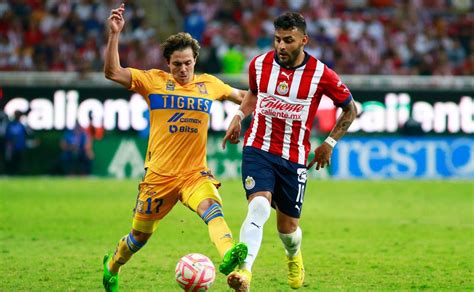 D Nde Ver En Vivo El Tigres Vs Chivas En La Fecha De La Liga Mx