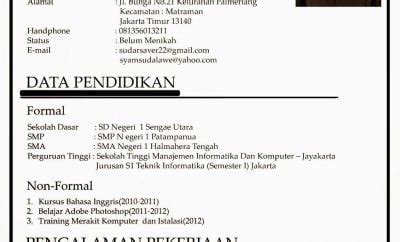 Nice Contoh Curriculum Vitae Singkat 74 Tentang Inspirasi Format