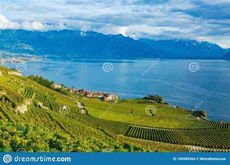 Lavaux, Switzerland: Lake Geneva and the Swiss Alps Landscape Seen from ...