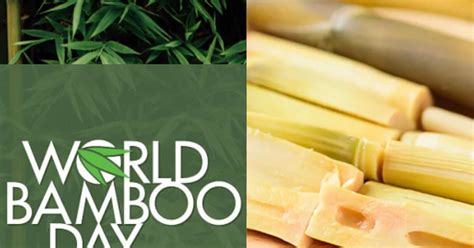 World Bamboo Day