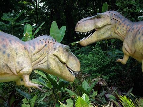 Animatronic Dinosaur Exhibit Coming To Philadelphia Zoo Chestnut Hill