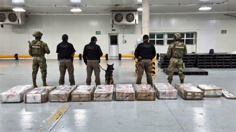 Incauta la Marina de México 678 kilos de cocaína en aduana Noticias