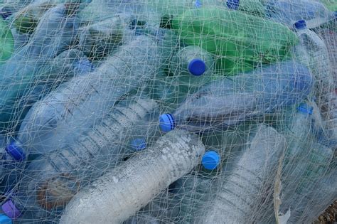 Direttiva Su Riduzione Plastica Monouso E Misure Per Il Riciclo Della