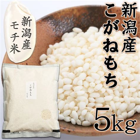 もち米 令和5年 こがねもち 5kg 新潟県産 送料無料 コガネモチ あすつく 新潟 餅米 餅 米 お米 おこわ 赤飯 美味しいお餅 5キロ