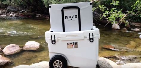 The 10 Best Beach Coolers with Wheels