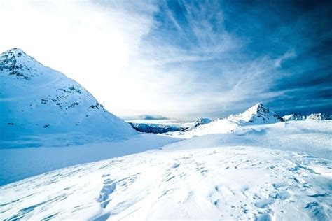 Free picture: nature, snow, tree, winter, grass, ice, cold