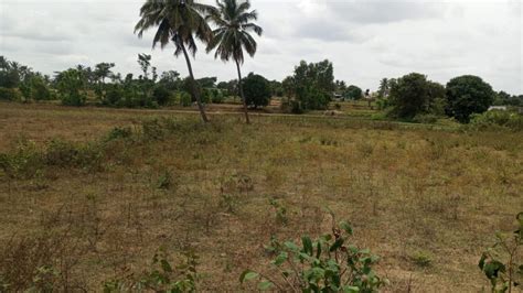 Agricultural Land Acre For Sale In Shoolagiri Krishnagiri Rei