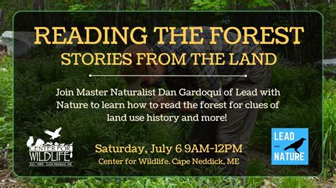 Reading The Forest Stories From The Land With Dan Gardoqui 375