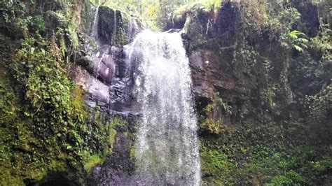 35 Beautiful Waterfalls in Alberta for 2024!