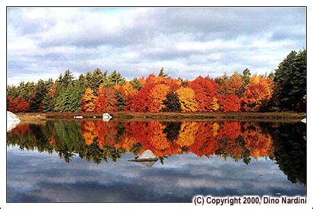 Fall Colours Photos from Nova Scotia, Canada