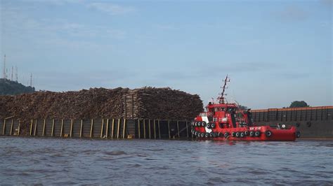 Hampir Saja Kapal Tongkang Pengangkut Kayu Miring Di Sungai Mahakam