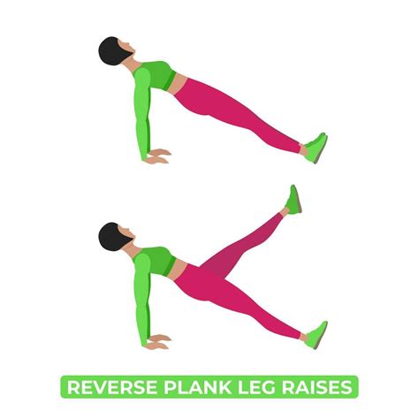 Vector Woman Doing Reverse Plank Leg Raises Leg Pull Facing Up